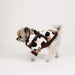 PUPPIA MAX WINTER DOG HOODIE