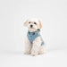 PINKAHOLIC ZANIA DOG DRESS/SHIRT