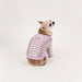 PINKAHOLIC KALEY DOG DRESS/SHIRT