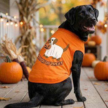 TRICK OR TREAT PUP DOG SHIRT - SUNSET ORANGE