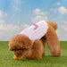 PINKAHOLIC ALYSE DOG DRESS/SHIRT