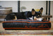 SFYLINE DOG BED - IVORY BLACK/GIANTS ORANGE, Beds - Bones Bizzness