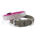 VIP BLING COLLAR FUSCHIA PINK/GRAY, Collars - Bones Bizzness