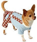 BLUE DELICIOUS SNUGGLE SUIT DOG JUMPER, JUMPER - Bones Bizzness