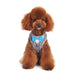 SNAPGO BOWTIE GENTLEMAN DOG HARNESS, Harness - Bones Bizzness