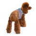 SNAPGO BOWTIE GENTLEMAN DOG HARNESS, Harness - Bones Bizzness