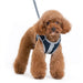 SNAPGO NAVY DOG HARNESS, Harness - Bones Bizzness