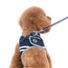 SNAPGO NAVY DOG HARNESS, Harness - Bones Bizzness