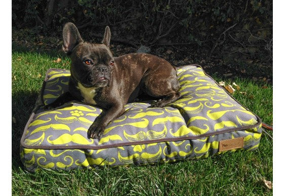 MUSTACHE DOG BED, Beds - Bones Bizzness