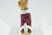 SCOTTY BOWZER RED CHESTNUT OR FOREST PLAID, Coats - Bones Bizzness