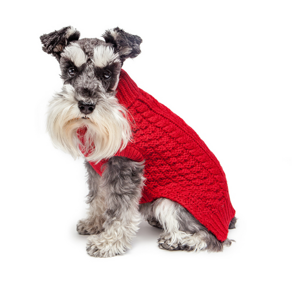 RED SUPER CHUNKY DOG SWEATER, Sweaters - Bones Bizzness