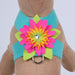 ISLAND FLOWER TINKIE DOG HARNESS - 12 COLORS, Harness - Bones Bizzness