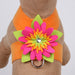 ISLAND FLOWER TINKIE DOG HARNESS - 12 COLORS, Harness - Bones Bizzness