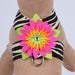 ISLAND FLOWER TINKIE DOG HARNESS - 12 COLORS, Harness - Bones Bizzness