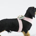 HOPE BOW TINKIE DOG HARNESS, Harness - Bones Bizzness