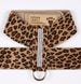 GILTMORE 3-ROW SWAROVSKI TINKIE DOG HARNESS - (53 COLORS), Harness - Bones Bizzness