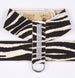 GILTMORE 3-ROW SWAROVSKI TINKIE DOG HARNESS - (42 COLORS), Harness - Bones Bizzness