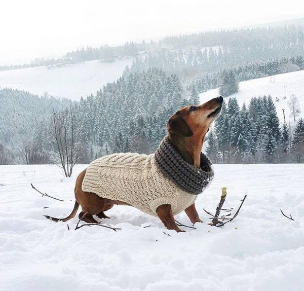 OATMEAL SUPER CHUNKY DOG SWEATER, Sweaters - Bones Bizzness