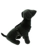 JET BLACK SOFT DOG HARNESS, Harness - Bones Bizzness