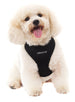 JET BLACK SOFT DOG HARNESS, Harness - Bones Bizzness