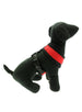 CHERRY RED SOFT DOG HARNESS, Harness - Bones Bizzness