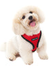 CHERRY RED SOFT DOG HARNESS, Harness - Bones Bizzness