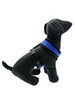 ROYAL BLUE SOFT DOG HARNESS, Harness - Bones Bizzness