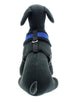 ROYAL BLUE SOFT DOG HARNESS, Harness - Bones Bizzness