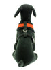 BURNT ORANGE SOFT DOG HARNESS, Harness - Bones Bizzness