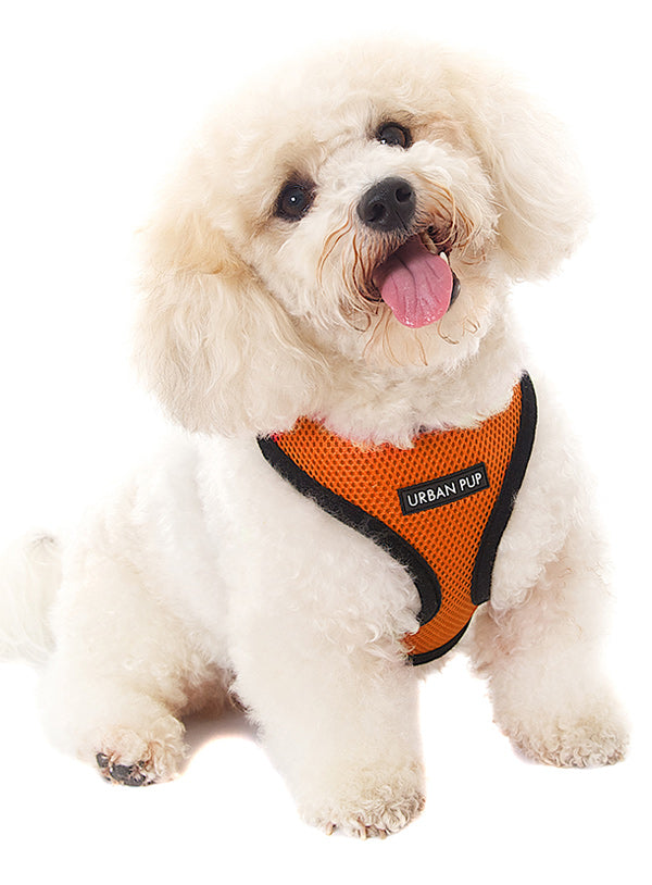 BURNT ORANGE SOFT DOG HARNESS, Harness - Bones Bizzness