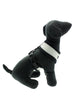 STEEL GREY SOFT DOG HARNESS, Harness - Bones Bizzness