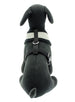 STEEL GREY SOFT DOG HARNESS, Harness - Bones Bizzness