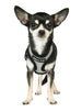 STEEL GREY SOFT DOG HARNESS, Harness - Bones Bizzness