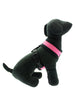 PINK SOFT DOG HARNESS, Harness - Bones Bizzness