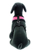 PINK SOFT DOG HARNESS, Harness - Bones Bizzness