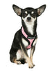 PINK SOFT DOG HARNESS, Harness - Bones Bizzness