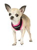 ACTIVE MESH NEON PINK DOG HARNESS, Harness - Bones Bizzness