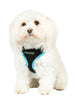 ACTIVE MESH NEON BLUE  DOG HARNESS, Harness - Bones Bizzness