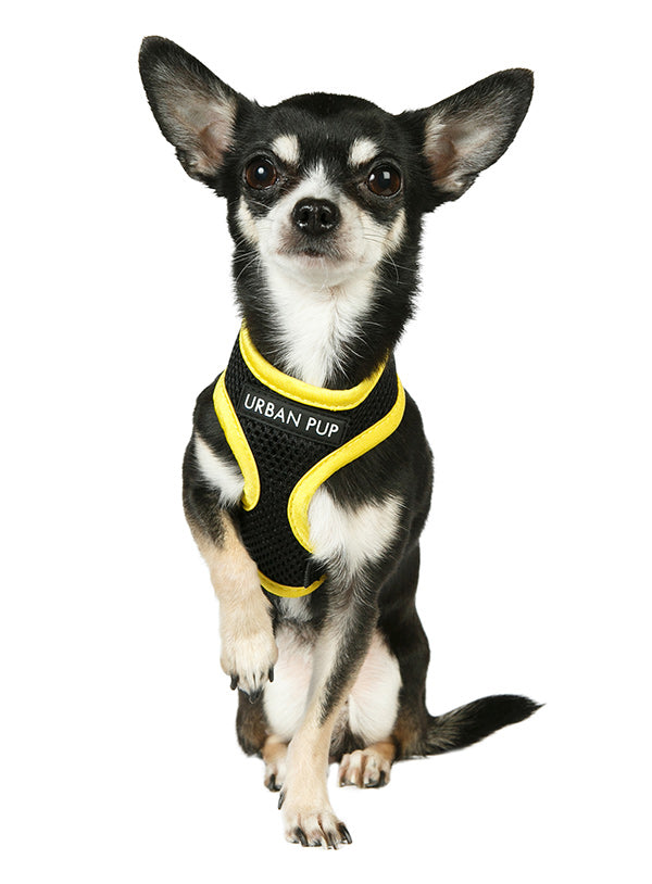 ACTIVE MESH NEON YELLOW DOG HARNESS, Harness - Bones Bizzness