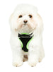 ACTIVE MESH NEON GREEN DOG HARNESS, Harness - Bones Bizzness