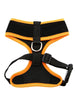 ACTIVE MESH NEON ORANGE DOG HARNESS, Harness - Bones Bizzness