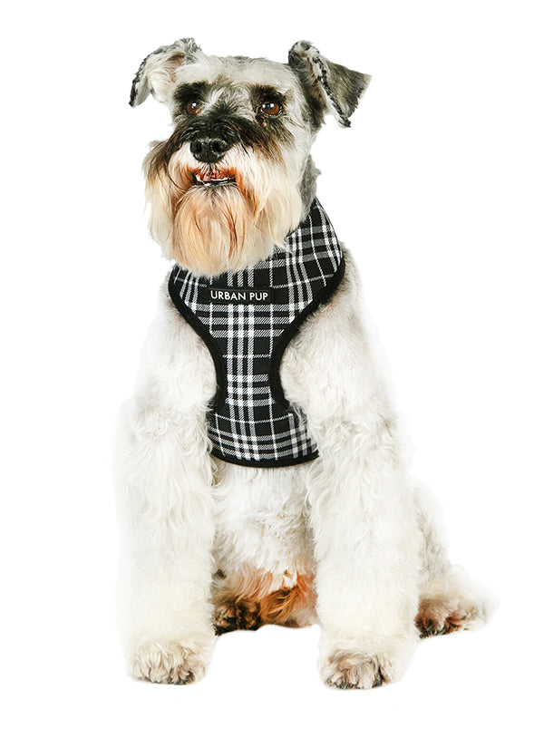 BLACK & WHITE TARTAN DOG HARNESS, Harness - Bones Bizzness