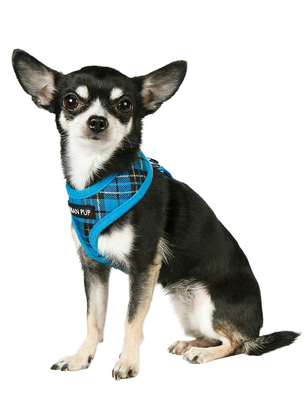 BLUE TARTAN DOG HARNESS, Harness - Bones Bizzness