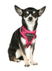 FUSCHIA PINK TARTAN DOG HARNESS, Harness - Bones Bizzness