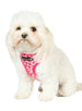 PINK HEARTS DOG HARNESS, Harness - Bones Bizzness