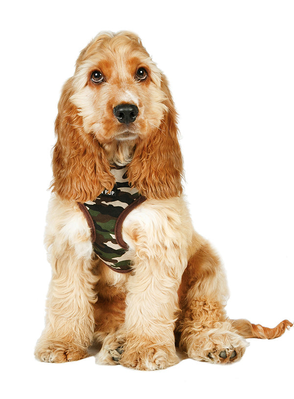 CAMOUFLAGE DOG HARNESS, Harness - Bones Bizzness