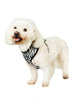 ZEBRA PRINT DOG HARNESS, Harness - Bones Bizzness