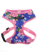 PINK & BLUE BURST DOG HARNESS, Harness - Bones Bizzness