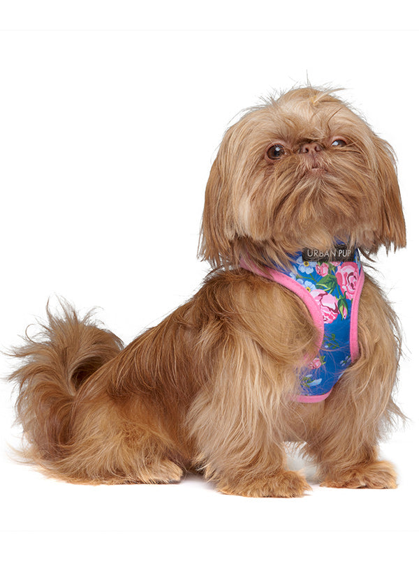 PINK & BLUE BURST DOG HARNESS, Harness - Bones Bizzness