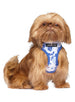 BLUE FLORAL BOUQUET DOG HARNESS, Harness - Bones Bizzness